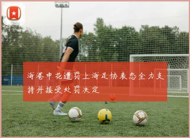 海港申花遭罚上海足协表态全力支持并接受处罚决定